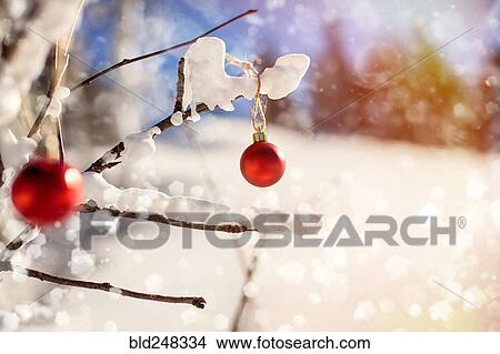 Picture - Christmas ornaments on branch in snow. Fotosearch