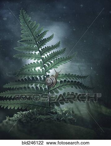 Stock Image - Close up of snail climbing on leaf. Fotosearch