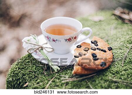Stock Image - Close up of tea and cookies on moss. Fotosearch