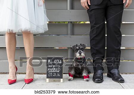 Stock Photo - Couple with dog near wedding announcement. Fotosearch