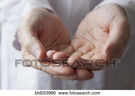 Cupped hands of Hispanic doctor View Large Photo Image Stock Photograph - Cupped hands of Hispanic doctor. Fotosearch