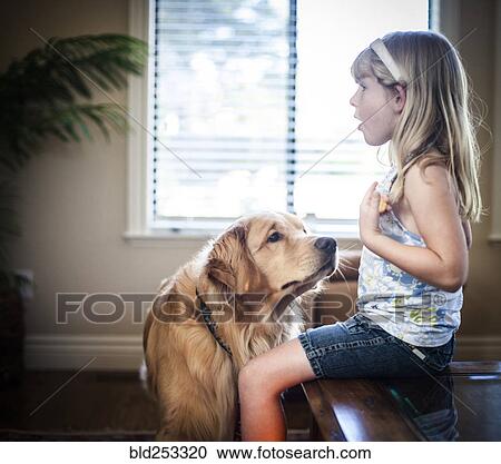 Curious dog sniffing food of Caucasian girl View Large Photo Image Stock Image - Curious dog sniffing food of Caucasian girl. Fotosearch