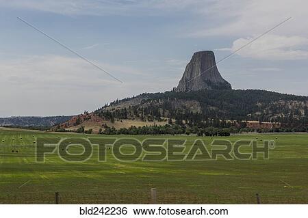 Devils Tower rock and farm fields in remote landscape, Wyoming, United States View Large Photo Image Stock Photograph - Devils Tower rock and farm fields in remote landscape, Wyoming, United States. Fotosearch