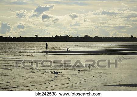 Distant birds and people in waves on beach View Large Photo Image Stock Photo - Distant birds and people in waves on beach. Fotosearch