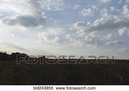 Distant Caucasian man in field under clouds View Large Photo Image Stock Photography - Distant Caucasian man in field under clouds. Fotosearch