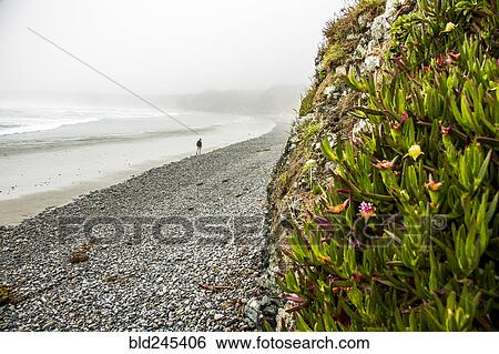 Stock Photograph - Distant Caucasian man walking on ocean beach. Fotosearch