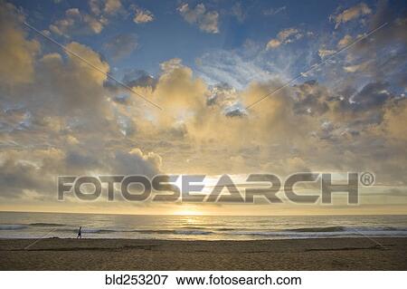 Distant man walking on beach at sunset View Large Photo Image Stock Photo - Distant man walking on beach at sunset. Fotosearch