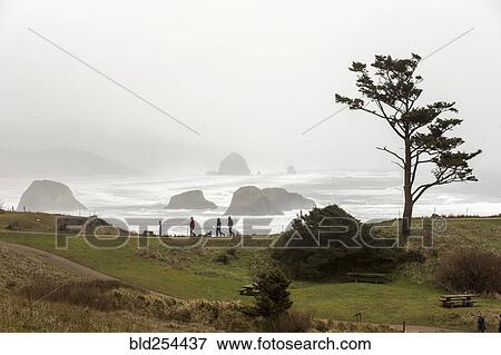 Stock Photo - Distant people walking near foggy ocean. Fotosearch