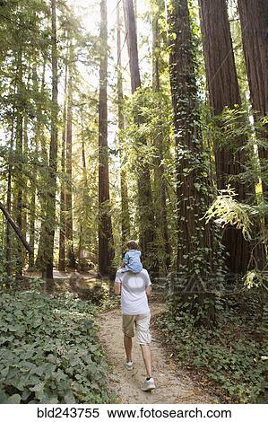 Stock Photography - Father carrying son on shoulders on forest path. Fotosearch