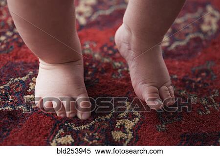 Feet of Hispanic baby boy on carpet View Large Photo Image Stock Photography - Feet of Hispanic baby boy on carpet. Fotosearch