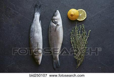 Fish with sliced lemons and rosemary View Large Photo Image Stock Photo - Fish with sliced lemons and rosemary. Fotosearch