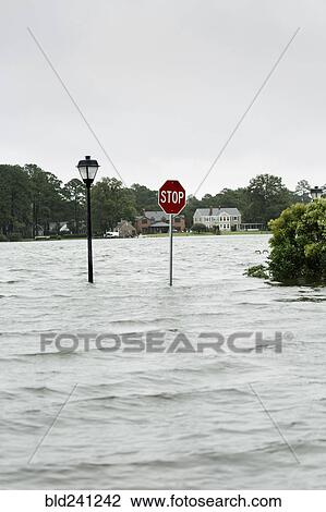 Flooding around stop sign and streetlamp View Large Photo Image Stock Image - Flooding around stop sign and streetlamp. Fotosearch