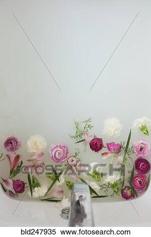 Stock Photography - Flowers floating under faucet in a milk bath. Fotosearch
