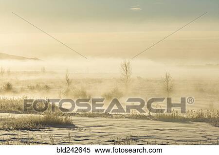 Stock Photography - Fog in winter landscape. Fotosearch