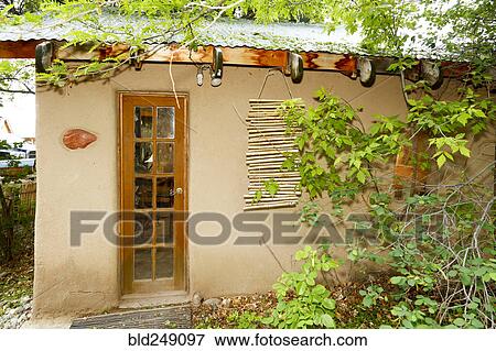 Foliage growing on house View Large Photo Image Stock Photo - Foliage growing on house. Fotosearch
