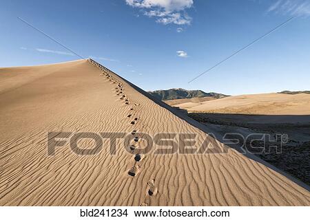 Footprints in sand dune View Large Photo Image Picture - Footprints in sand dune. Fotosearch