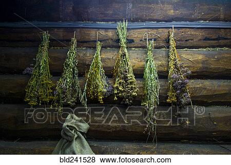 Stock Photo - Green brooms hanging on log cabin wall. Fotosearch