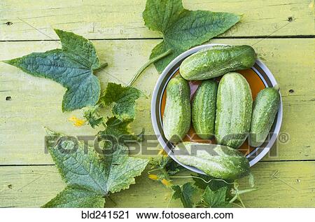 Green cucumbers and leaves on wooden table View Large Photo Image Stock Image - Green cucumbers and leaves on wooden table. Fotosearch