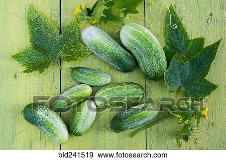 Green cucumbers and leaves on wooden table View Large Photo Image Stock Photo - Green cucumbers and leaves on wooden table. Fotosearch