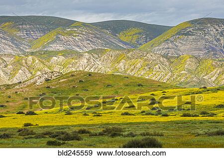 Stock Photo - Green rolling landscape. Fotosearch