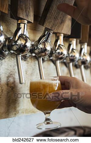 Hand of Caucasian man pouring beer from tap View Large Photo Image Stock Photo - Hand of Caucasian man pouring beer from tap. Fotosearch