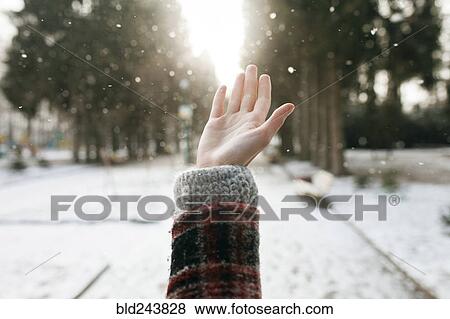 Hand of Caucasian woman catching falling snow View Large Photo Image Stock Photo - Hand of Caucasian woman catching falling snow. Fotosearch