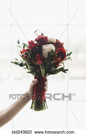 Hand of Caucasian woman holding bouquet of flowers View Large Photo Image Stock Image - Hand of Caucasian woman holding bouquet of flowers. Fotosearch