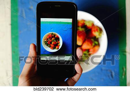 Hand of Caucasian woman photographing bowl of strawberries View Large Photo Image Stock Image - Hand of Caucasian woman photographing bowl of strawberries. Fotosearch