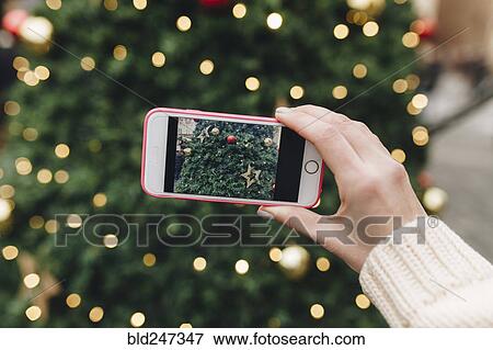 Hand of Caucasian woman photographing Christmas tree with cell phone View Large Photo Image Stock Photo - Hand of Caucasian woman photographing Christmas tree with cell phone. Fotosearch