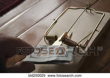 Hand of Hispanic man placing money in mousetrap View Large Photo Image Stock Photography - Hand of Hispanic man placing money in mousetrap. Fotosearch