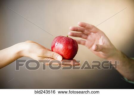 Stock Photograph - Hand of woman offering red apple to man. Fotosearch