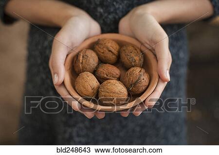 Stock Image - Hands holding bowl of walnuts. Fotosearch