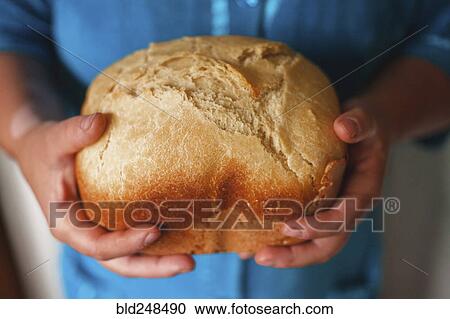 Hands holding loaf of bread View Large Photo Image Stock Image - Hands holding loaf of bread. Fotosearch