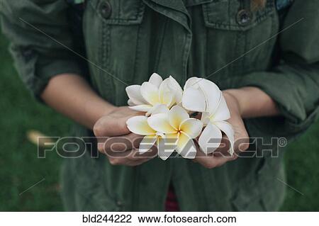Stock Image - Hands of Caucasian woman holding flowers. Fotosearch