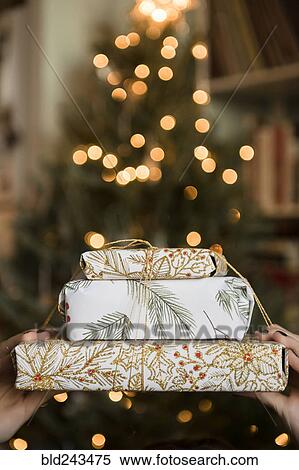 Hands of Caucasian woman holding Christmas gifts View Large Photo Image Stock Photography - Hands of Caucasian woman holding Christmas gifts. Fotosearch