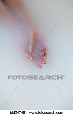 Hands of Caucasian woman in milk bath View Large Photo Image Stock Image - Hands of Caucasian woman in milk bath. Fotosearch