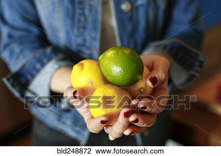 Stock Image - Hands of woman holding lemons and lime. Fotosearch