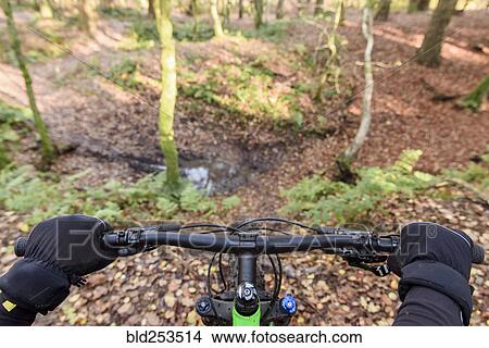 Picture - Hands of woman wearing gloves holding bicycle handlebar. Fotosearch