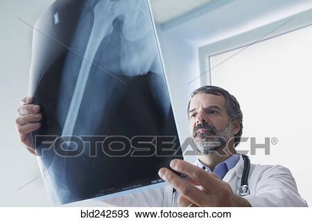 Stock Image - Hispanic doctor examining x-ray. Fotosearch
