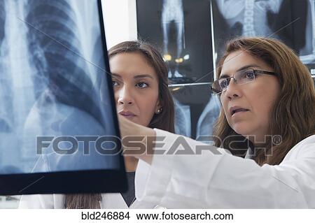 Hispanic doctors examining x-ray of chest View Large Photo Image Picture - Hispanic doctors examining x-ray of chest. Fotosearch
