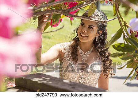 Stock Image - Hispanic girl wearing gown examining tree branch. Fotosearch