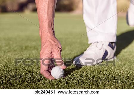 Stock Image - Hispanic golfer placing golf ball on tee. Fotosearch