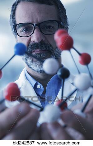 Stock Photo - Hispanic scientist examining molecule model. Fotosearch