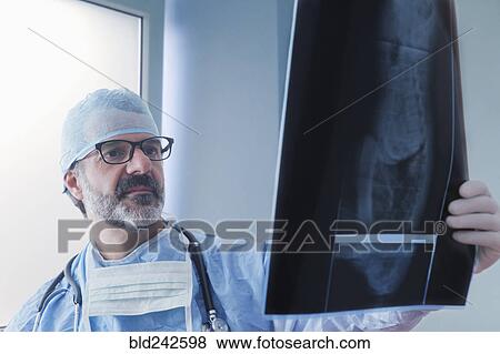 Hispanic surgeon examining x-ray View Large Photo Image Stock Photo - Hispanic surgeon examining x-ray. Fotosearch