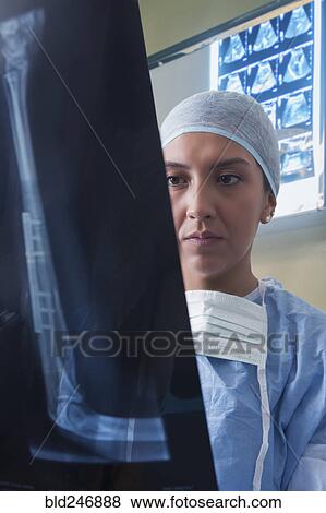Hispanic surgeon examining x-ray View Large Photo Image Stock Photo - Hispanic surgeon examining x-ray. Fotosearch
