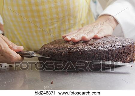 Hispanic woman cutting cake with knife View Large Photo Image Stock Image - Hispanic woman cutting cake with knife. Fotosearch
