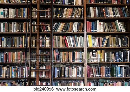 Stock Photograph - Ladder on library bookcase. Fotosearch