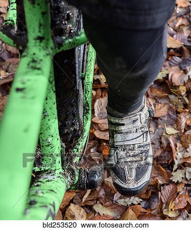 Leg of Caucasian woman riding bicycle in autumn leaves View Large Photo Image Stock Image - Leg of Caucasian woman riding bicycle in autumn leaves. Fotosearch
