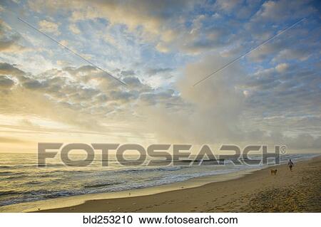 Man and dog on ocean beach at sunset View Large Photo Image Stock Image - Man and dog on ocean beach at sunset. Fotosearch