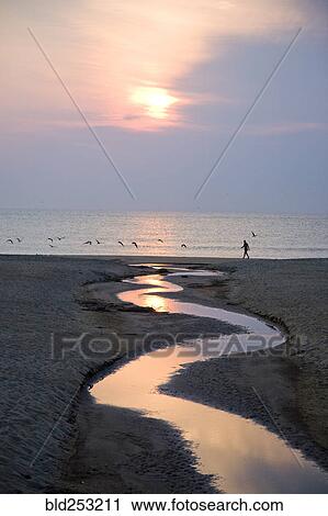 Man walking on beach near water channel at sunset View Large Photo Image Stock Image - Man walking on beach near water channel at sunset. Fotosearch